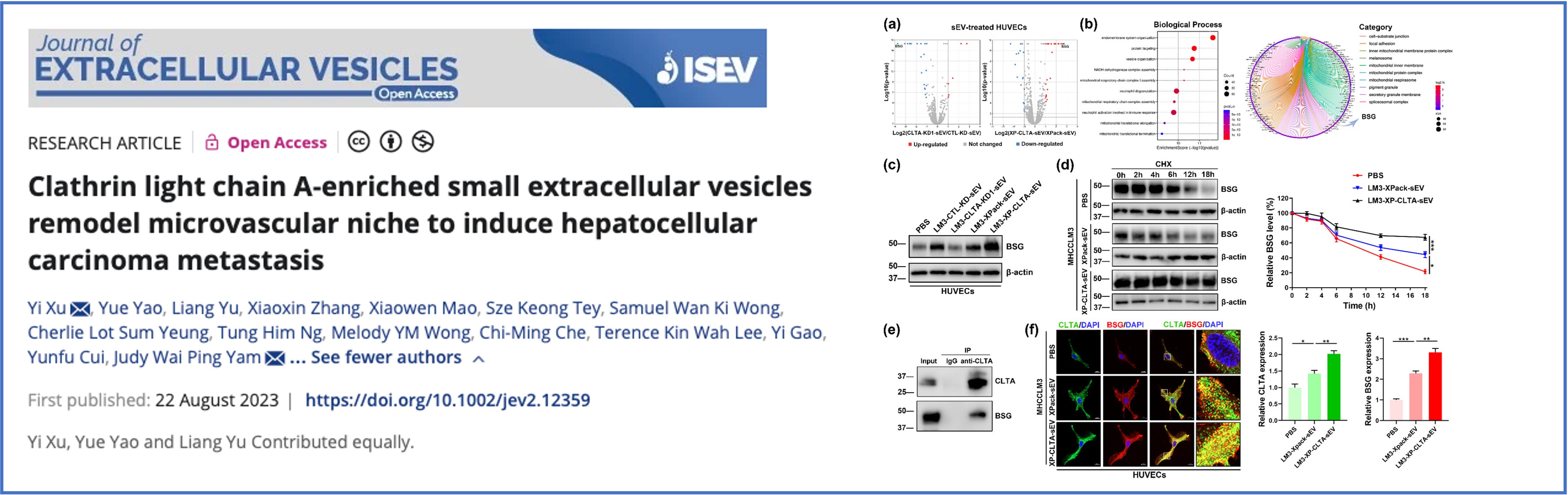 ISEV2021 Abstract Book - 2021 - Journal of Extracellular Vesicles - Wiley  Online Library